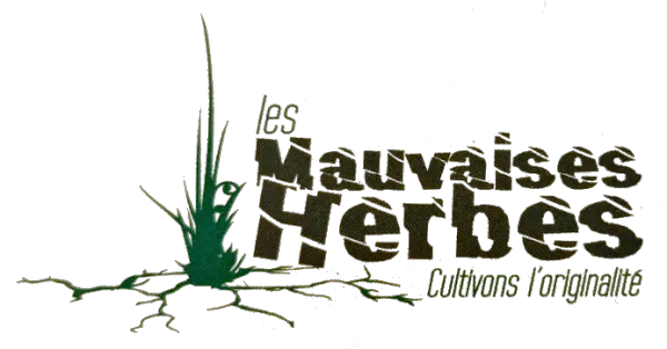 Entreprise de paysagiste pour l'aménagement extérieur de votre maison à Strasbourg STRASBOURG LES MAUVAISES HERBES